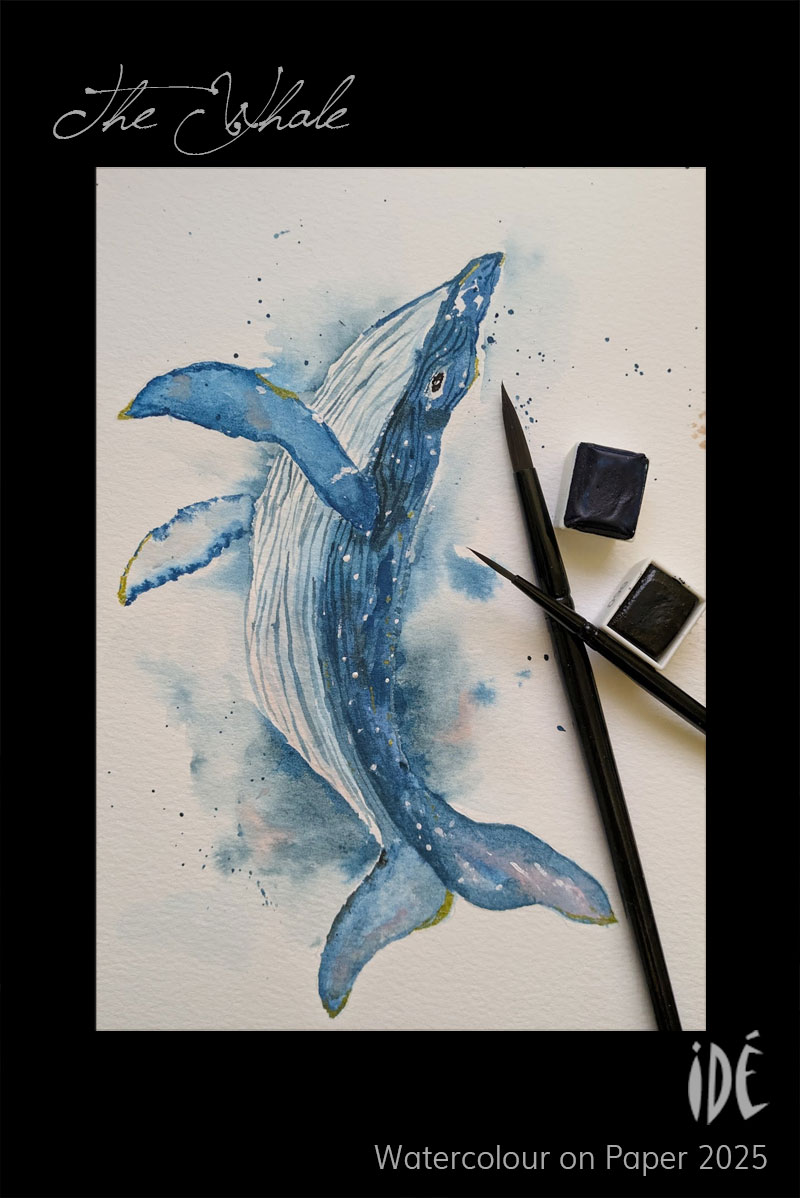Watercolour Painting of a Whale