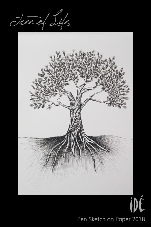 Pen Sketch of tree