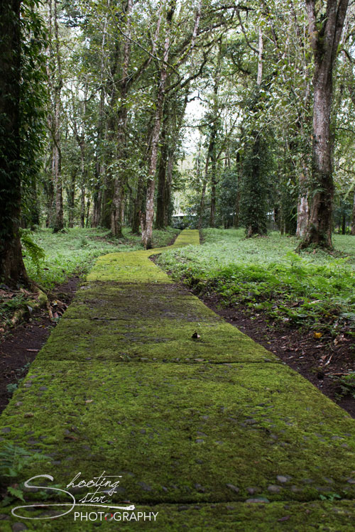 Bali Botanic Garden