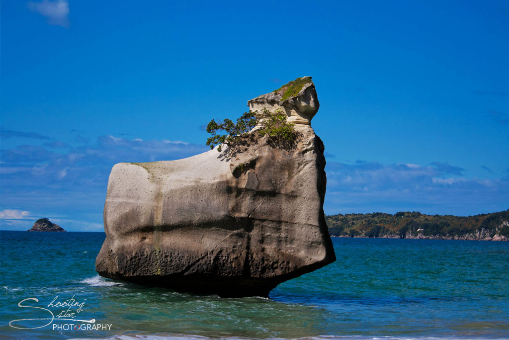 The Coromandel Coast