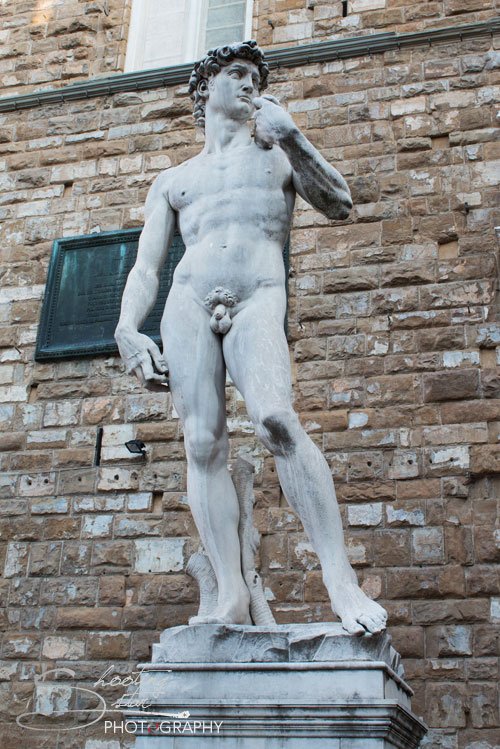 David Statue in Florence, Italy